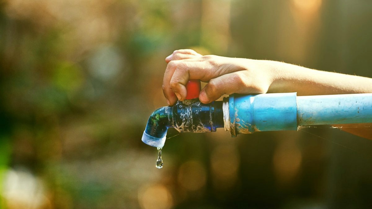 Discover simple and effective ways to reduce your daily water consumption, saving natural resources and money.