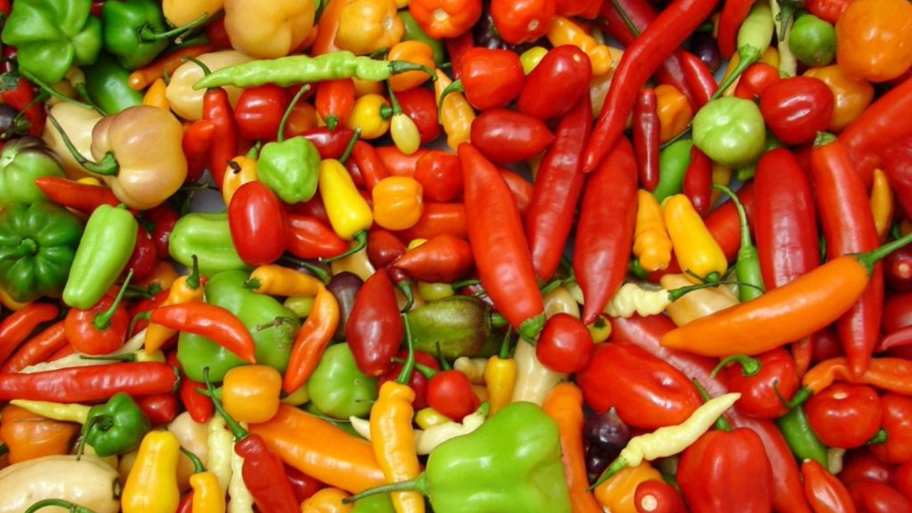 Discover the peppers that bring life to dishes, bringing unique flavors and different levels of heat to your kitchen.