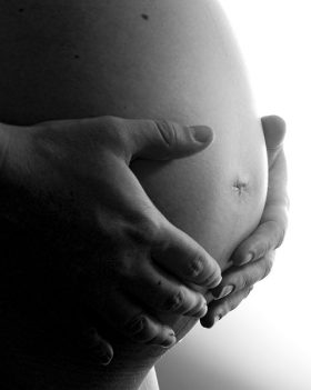 pregnant 3
